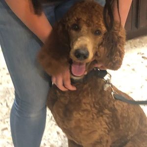 Reserved for Rechelle